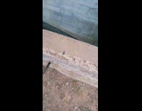 Guy records huge water river pipe