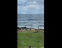 Woman in blue and yellow dress tiktok dance by the shore