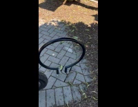 Guy lift bicycle rack ring on bricks