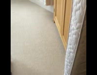 Grey kitten runs up mattress standing upright 