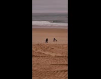 Girl fail to do headstand on beach