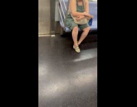 Submitter shows woman with pet white mice on subway