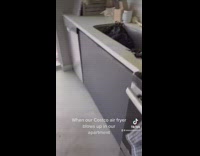 Kitchen and stove destroyed by burnt up air fryer