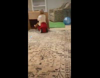 Kid riding red cart through living room hits box