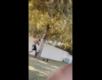 Guy boxes tree trunk blue gloves backyard 