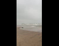 Filmer show beach bad weather overcast