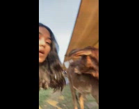 Girl approaches baby brown cow and asks for kiss 