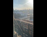 Pigeon on womans apartment porch