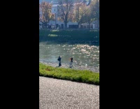 Collab IITW - Woman oversized jacket dances by the river