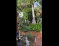 Guy tries to jump on lilypad floatie and falls into pool