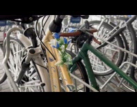 Bikes parked outside frozen overnight
