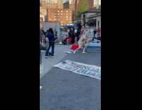 Collab WINY - Photographers Take Pictures of People in Costume