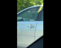 Collab winy - Man read book on steering wheel while driving