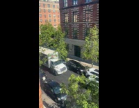 Collab WINY - Truck honk at white car parked in the street