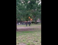 Guy wearing bear mask chases and tackles person 