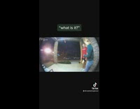 Guy makes angry bird noise for girl leaving home