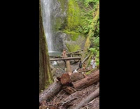 Woman in bikini flips hair in front of the waterfalls
