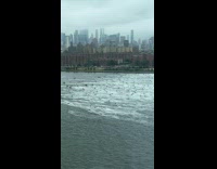 Collab WINY - Lots of people ride jet ski on river