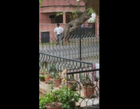 Man in white jacket hoodie tiktok dance at the street