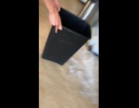 Man tries to catch squirrel inside house