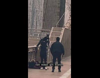 Catwoman sits on bridge for pictures 