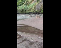 Woman in white bikini kneels at the beach