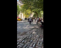 Elderly man dragging log on leash like pet