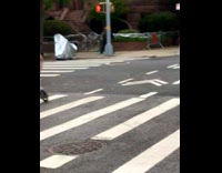 Two people dressed as hot dogs on scooters