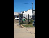 Magpie flies towards filmer at parking lot