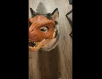 Collab Clips mpugc - Husky dog with orange dinosaur mask