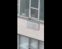 Hawk eats animal for lunch at window