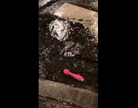 Collab winy - Pink vibrator on the puddle at street
