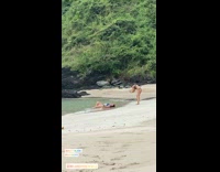 Woman blue bikini lay on beach plants