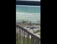 Couple stand and pose on beach rocks