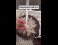 Collab BSMedia - Lady cooks raw shrimp using hot water 