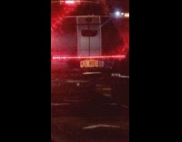 Truck license plate says kil bugs 