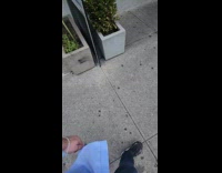 Collab WINY - Dog scratching back on ground on sidewalk