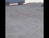 Couple stands on top of car for photo