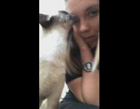 Cat rubs head against face licks girl