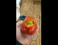 Red bell pepper with a green bell pepper inside