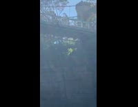 Guy jumps off bridge into water
