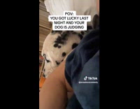 Collab Clips MPUGC - Dig judging hooman getting laid 