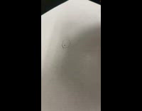 Small spider trapped inside drawn circle ink