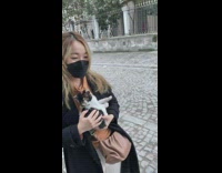 Stray cat jumps on girl new owner