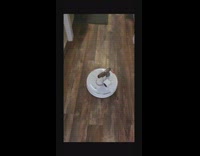 Guy tapes camera and gun to roomba