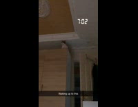 Collab BitchIG2 - Man cat on top of dresser