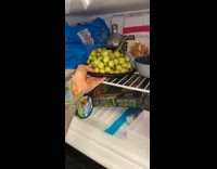 Guy shows piece of weed wax stuck to his plate of frozen grapes
