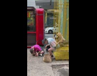 3 guys passed out drunk and leaned over on sidewalk