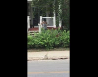 Woman gray outfit tiktok dance video shoot front yard