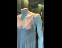 Flies surrounding mannequins on storefront